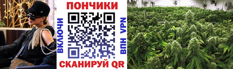 Бошки Шишки LSD WEED  Рязань 